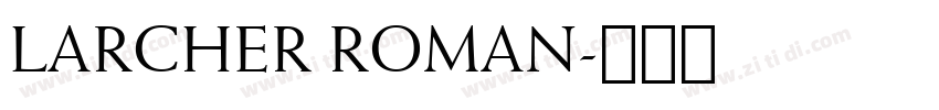 LARCHER ROMAN字体转换